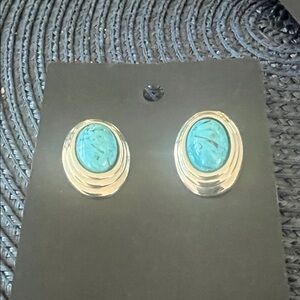 Silver and Turquoise Oval Earrings